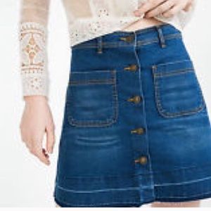 Zara Denim Skater Skirt (NWT)